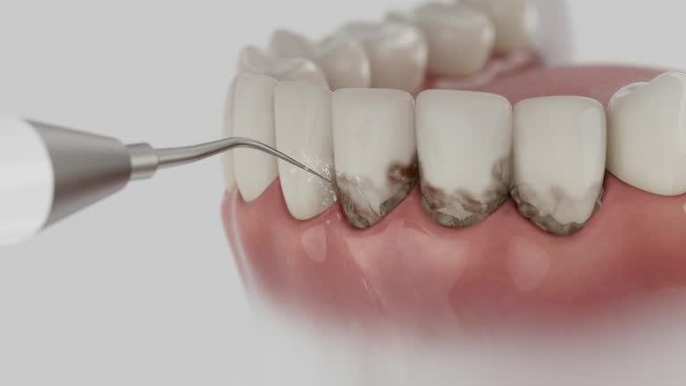 Reliable Dental contractor in Charlotte Hall, MD by Dentist Open Now